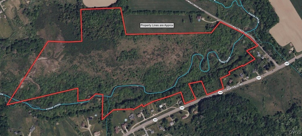 Obi Road Cuba, NY 14727 - Photo 2 of 35