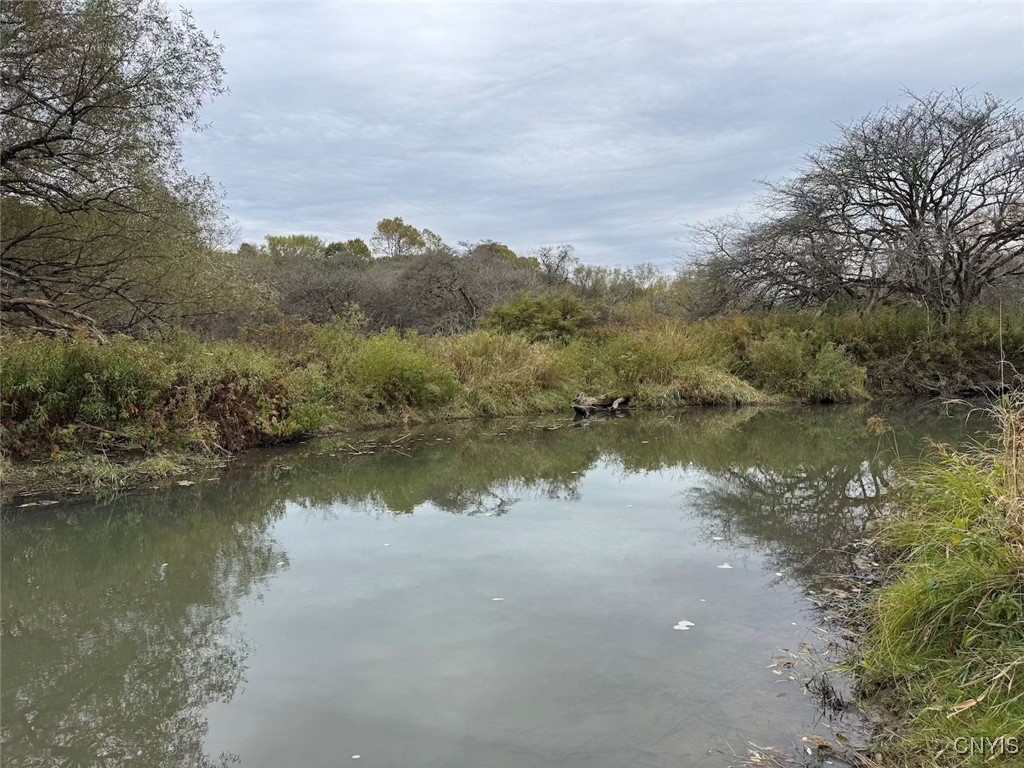 Obi Road Cuba, NY 14727 - Photo 22 of 35