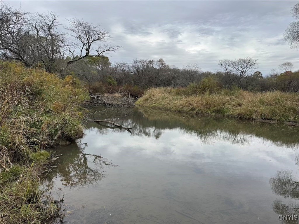 Obi Road Cuba, NY 14727 - Photo 23 of 35