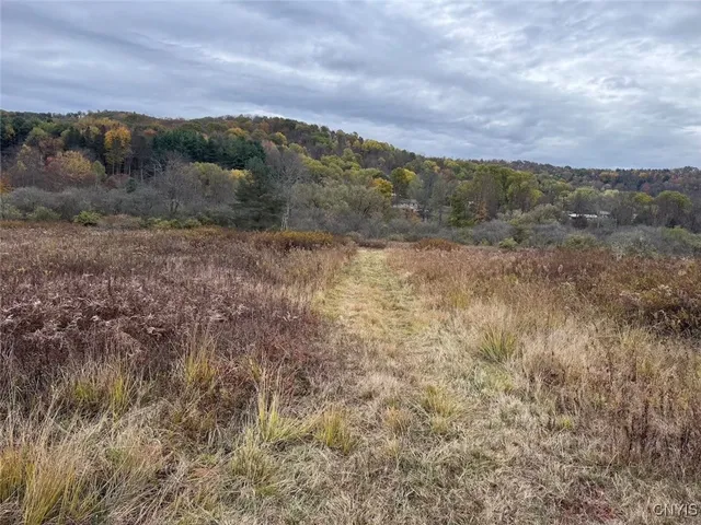 $124,900 | Obi Road, Cuba, NY 14727