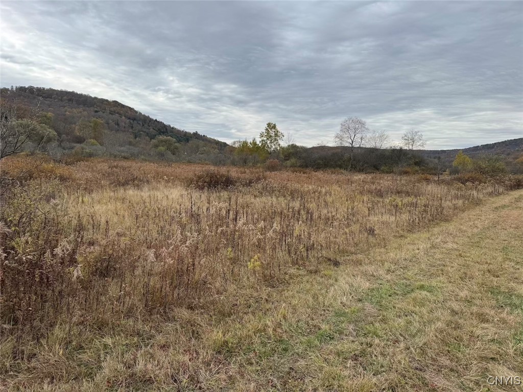 Obi Road Cuba, NY 14727 - Photo 26 of 35