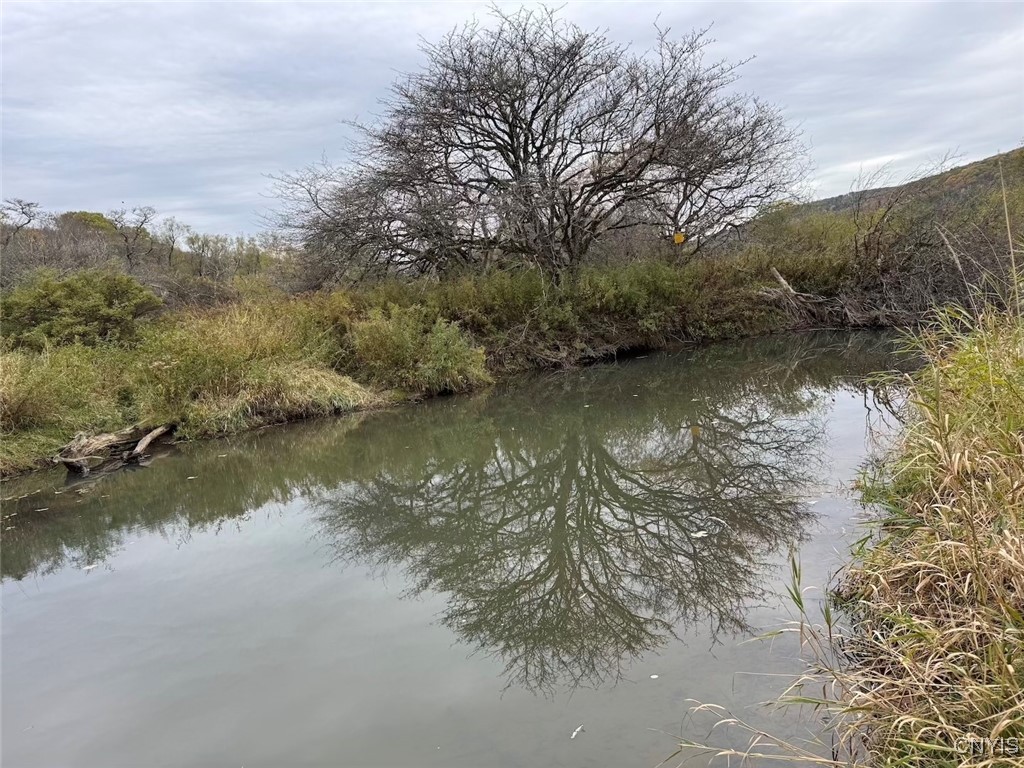 Obi Road Cuba, NY 14727 - Photo 27 of 35