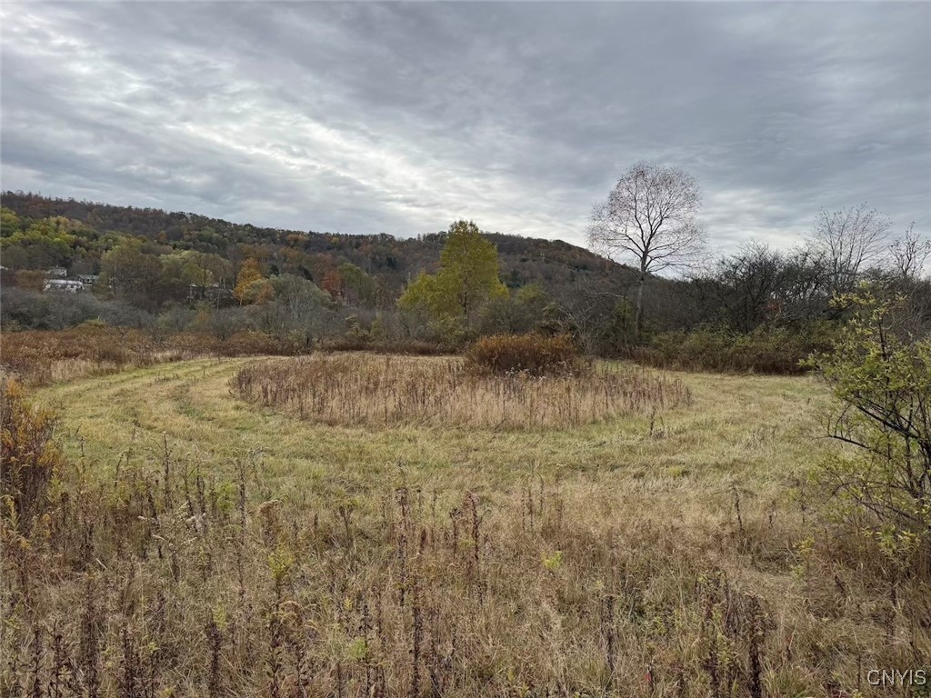 Obi Road Cuba, NY 14727 - Photo 28 of 35