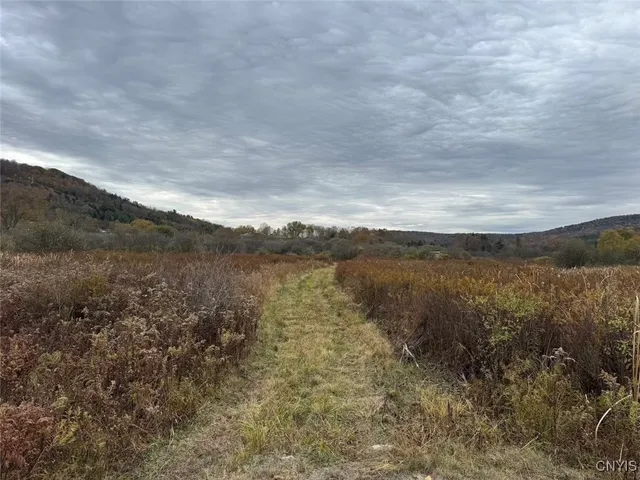 $124,900 | Obi Road, Cuba, NY 14727