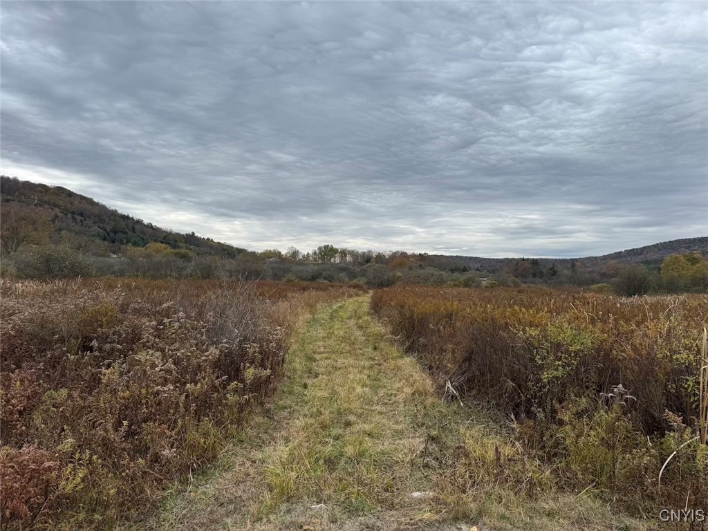 Obi Road Cuba, NY 14727 - Photo 30 of 35