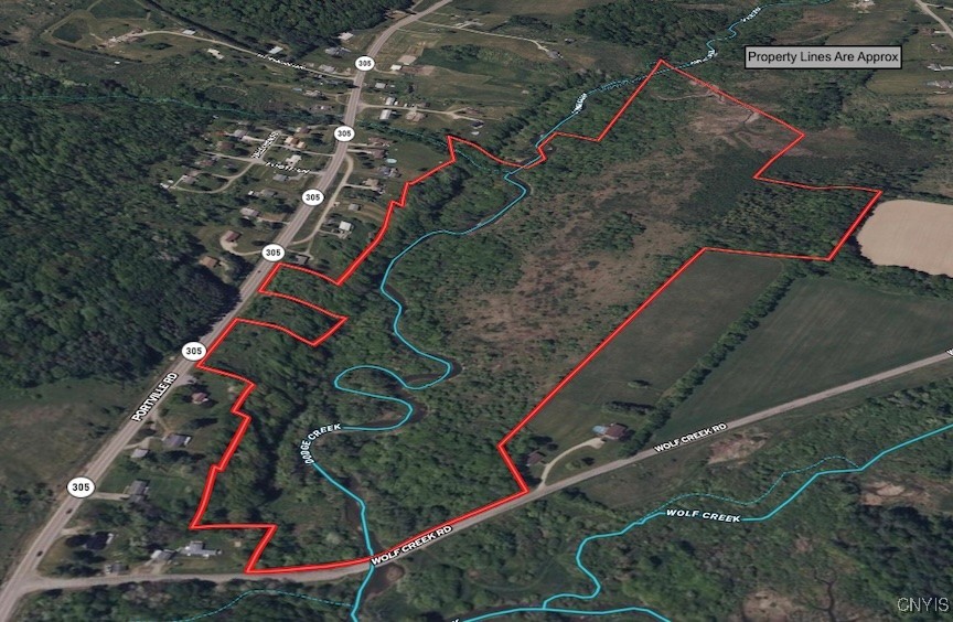 Obi Road Cuba, NY 14727 - Photo 3 of 35