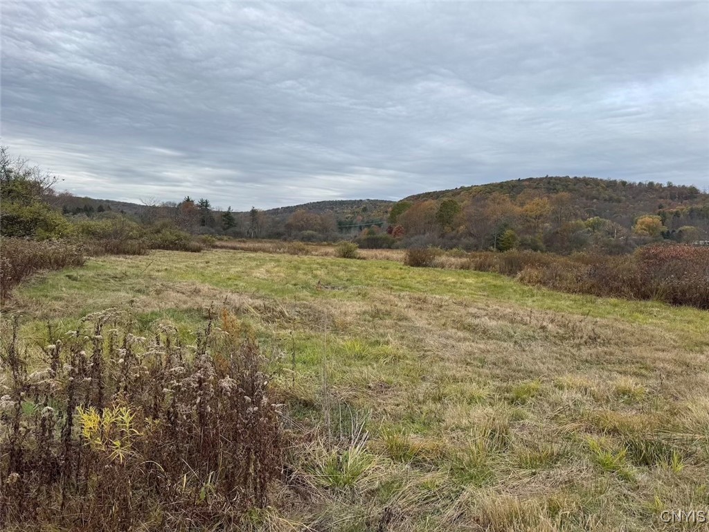 Obi Road Cuba, NY 14727 - Photo 32 of 35