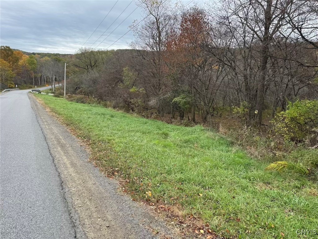 Obi Road Cuba, NY 14727 - Photo 34 of 35