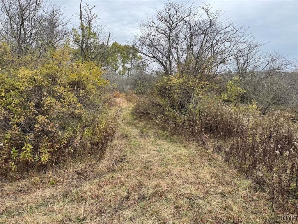 Obi Road Cuba, NY 14727 - Photo 4 of 35