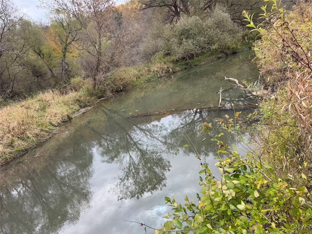 Obi Road Cuba, NY 14727 - Photo 5 of 35