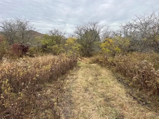 $124,900 | Obi Road, Cuba, NY 14727