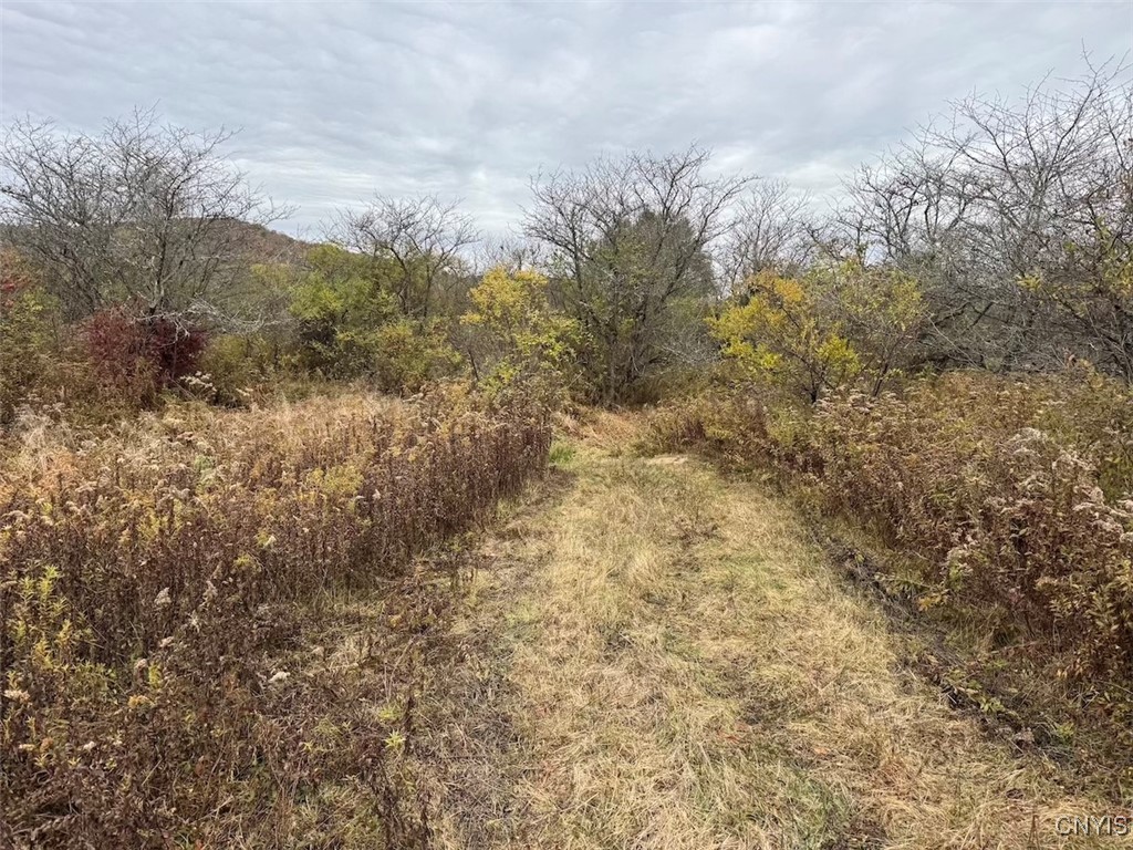 Obi Road Cuba, NY 14727 - Photo 6 of 35