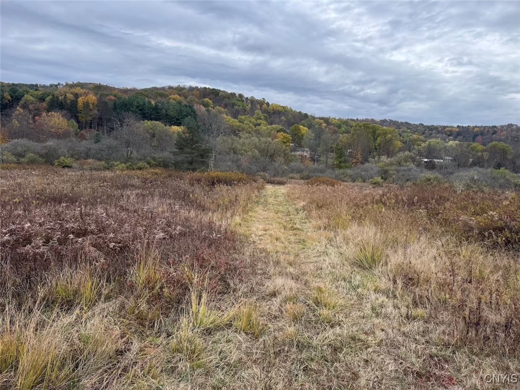 Obi Road Cuba, NY 14727 - Photo 6 of 10