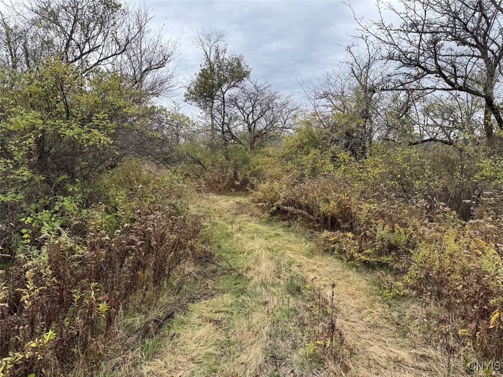 Obi Road Cuba, NY 14727 - Photo 7 of 35