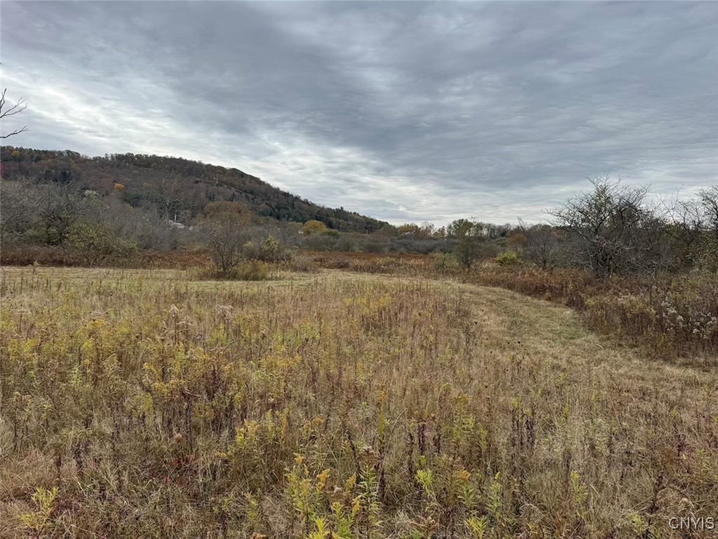 Obi Road Cuba, NY 14727 - Photo 7 of 10