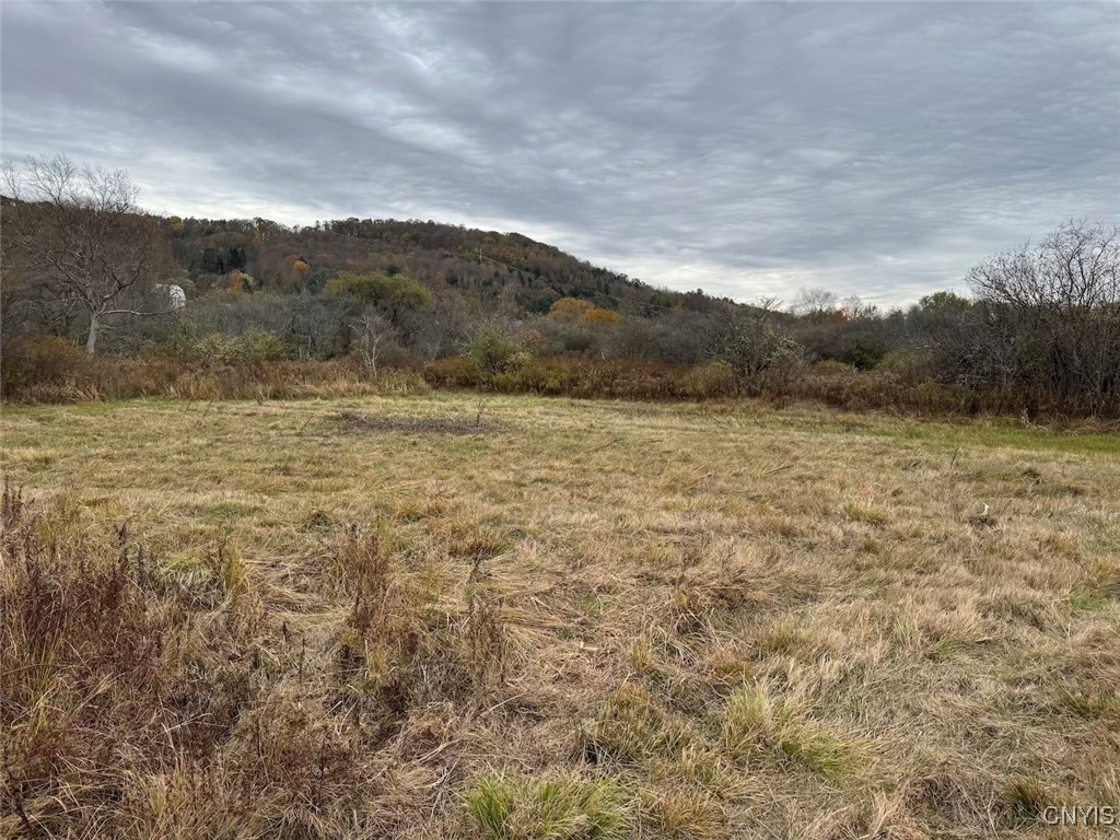 Obi Road Cuba, NY 14727 - Photo 8 of 10