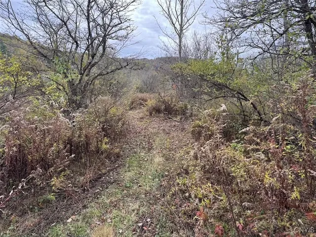 $124,900 | Obi Road, Cuba, NY 14727
