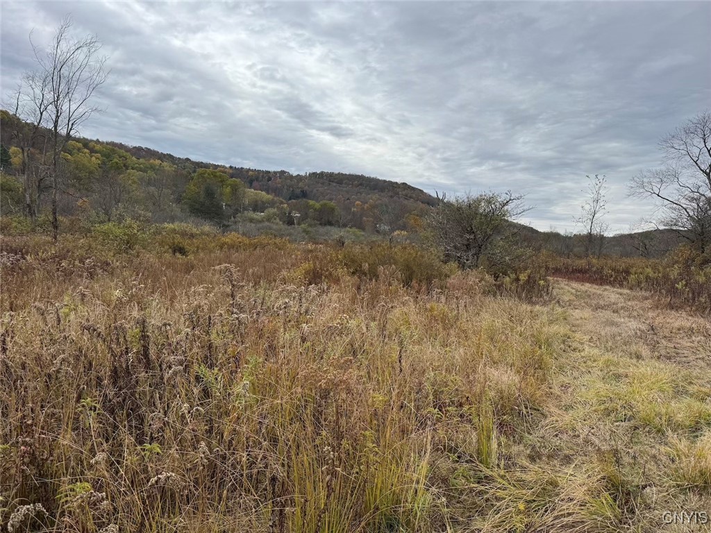 Obi Road Cuba, NY 14727 - Photo 10 of 35