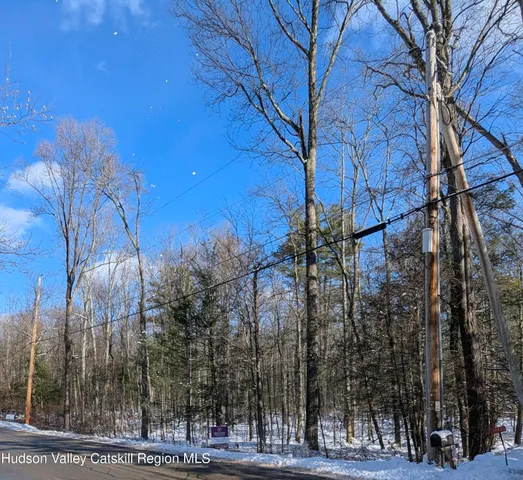 $215,000 | 48 Ridge Road, Unit RIGHTHAND SIDE RIDGE RD, Shokan, NY 12481