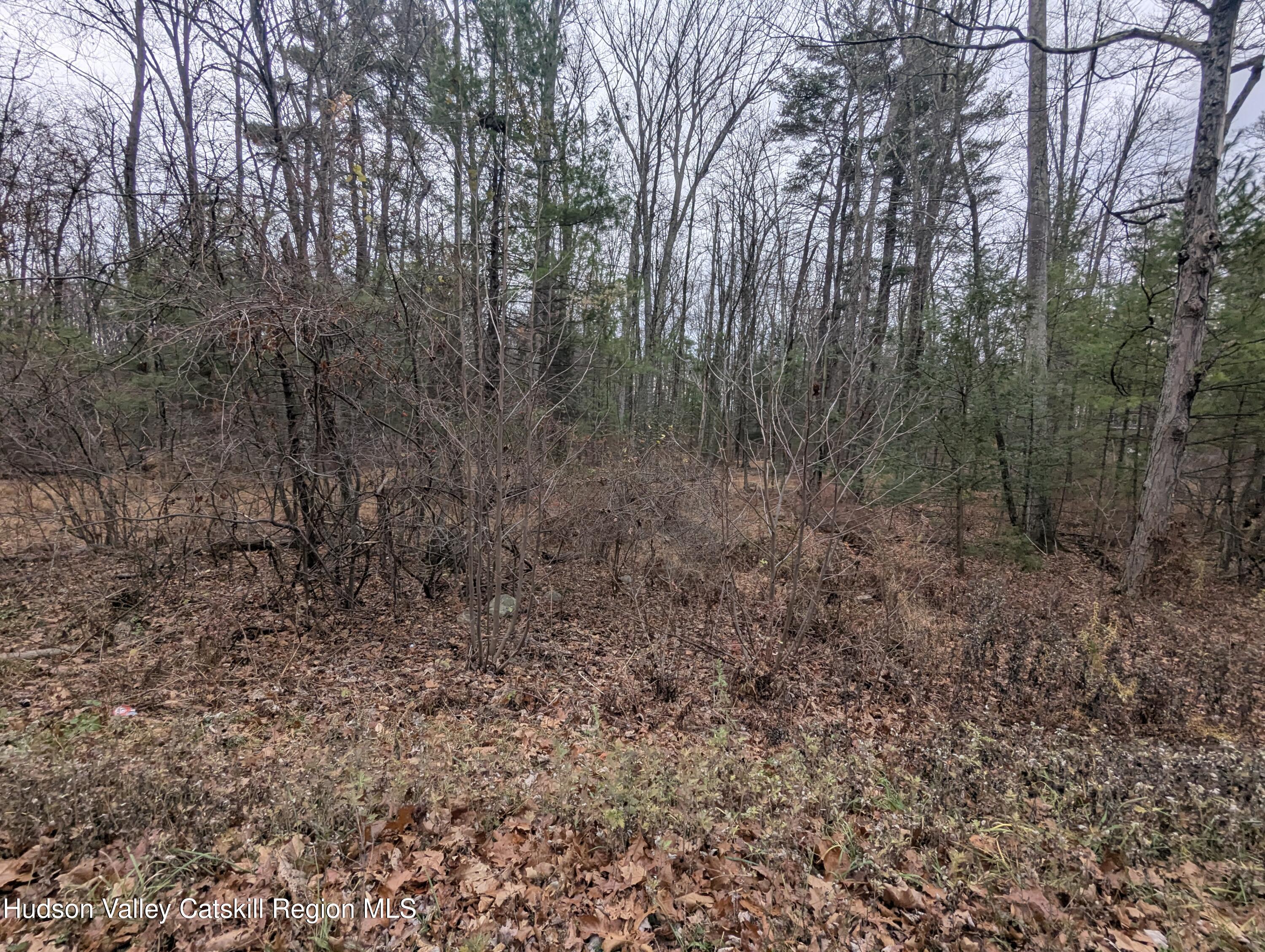 48 Ridge Road, Unit RIGHTHAND SIDE RIDGE RD Shokan, NY 12481 - Photo 4 of 4 a view of a forest with trees in the background