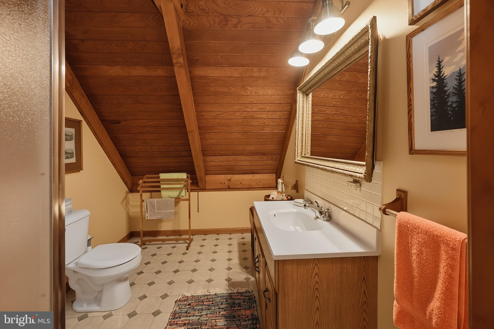 674 Hazelhurst Road Swanton, MD 21561 - Photo 33 of 40 Upper Level Primary Bath