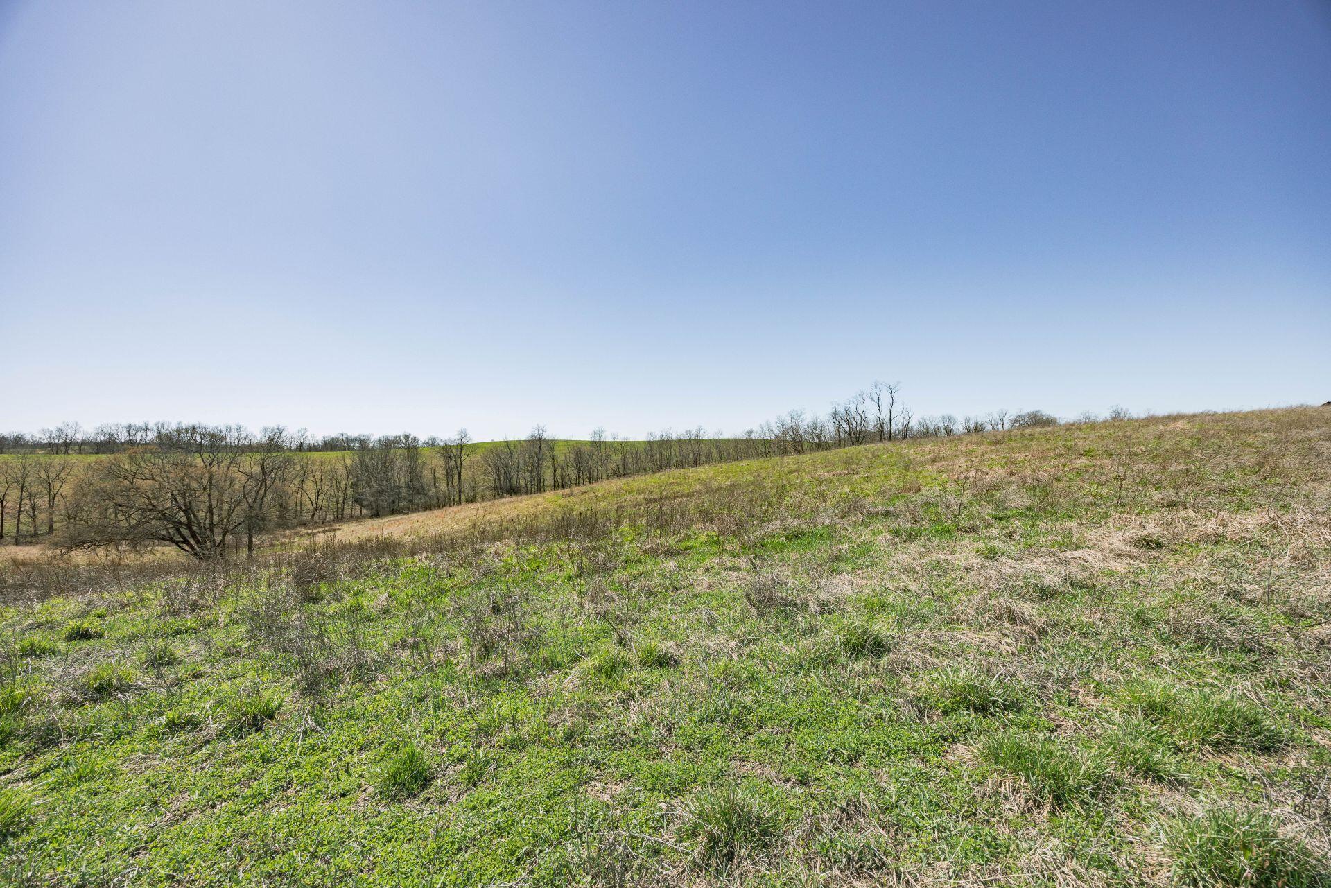 1300 Lower Concord Road Carlisle, KY 40311 - Photo 27 of 41 5B5A1191