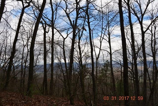 3530 Grape Creek Road Murphy, NC 28906 - Photo 34 of 52