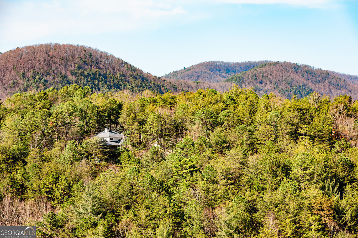 a view of a lush green field with mountains in the background