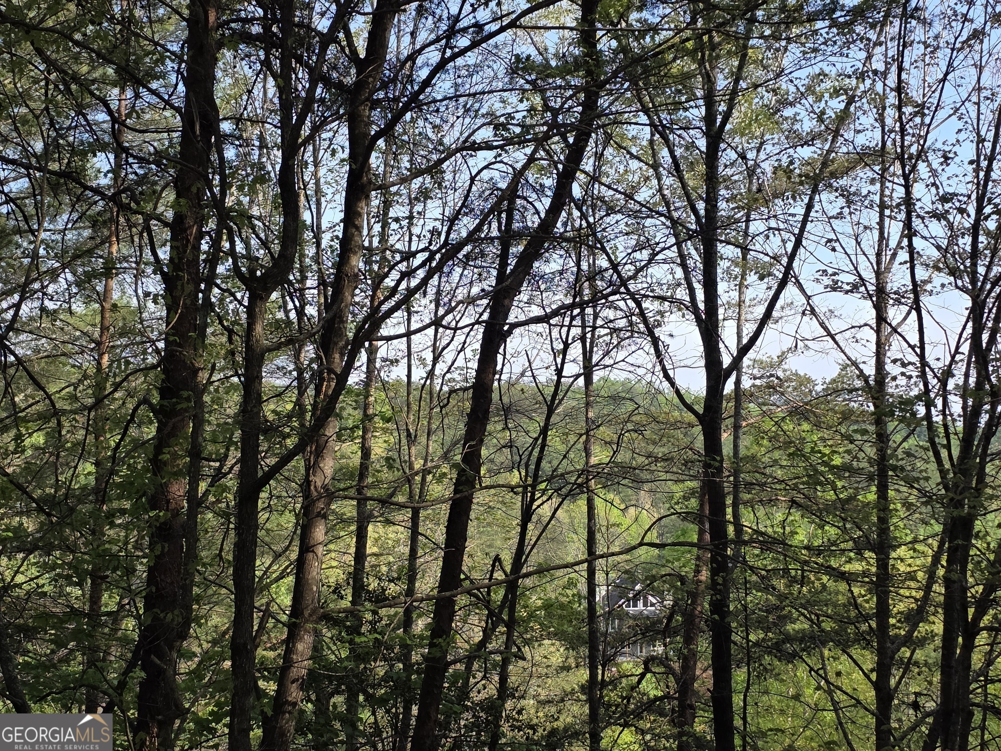 0 Rosen Strasse, Unit LOT Helen, GA 30545 - Photo 3 of 8