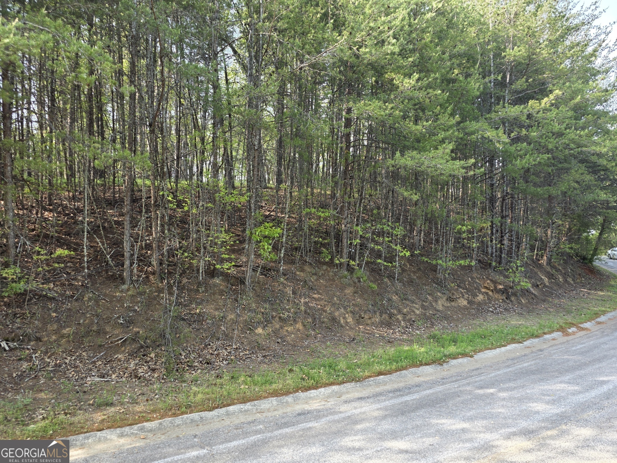 0 Rosen Strasse, Unit LOT Helen, GA 30545 - Photo 8 of 8 a view of outdoor space and yard