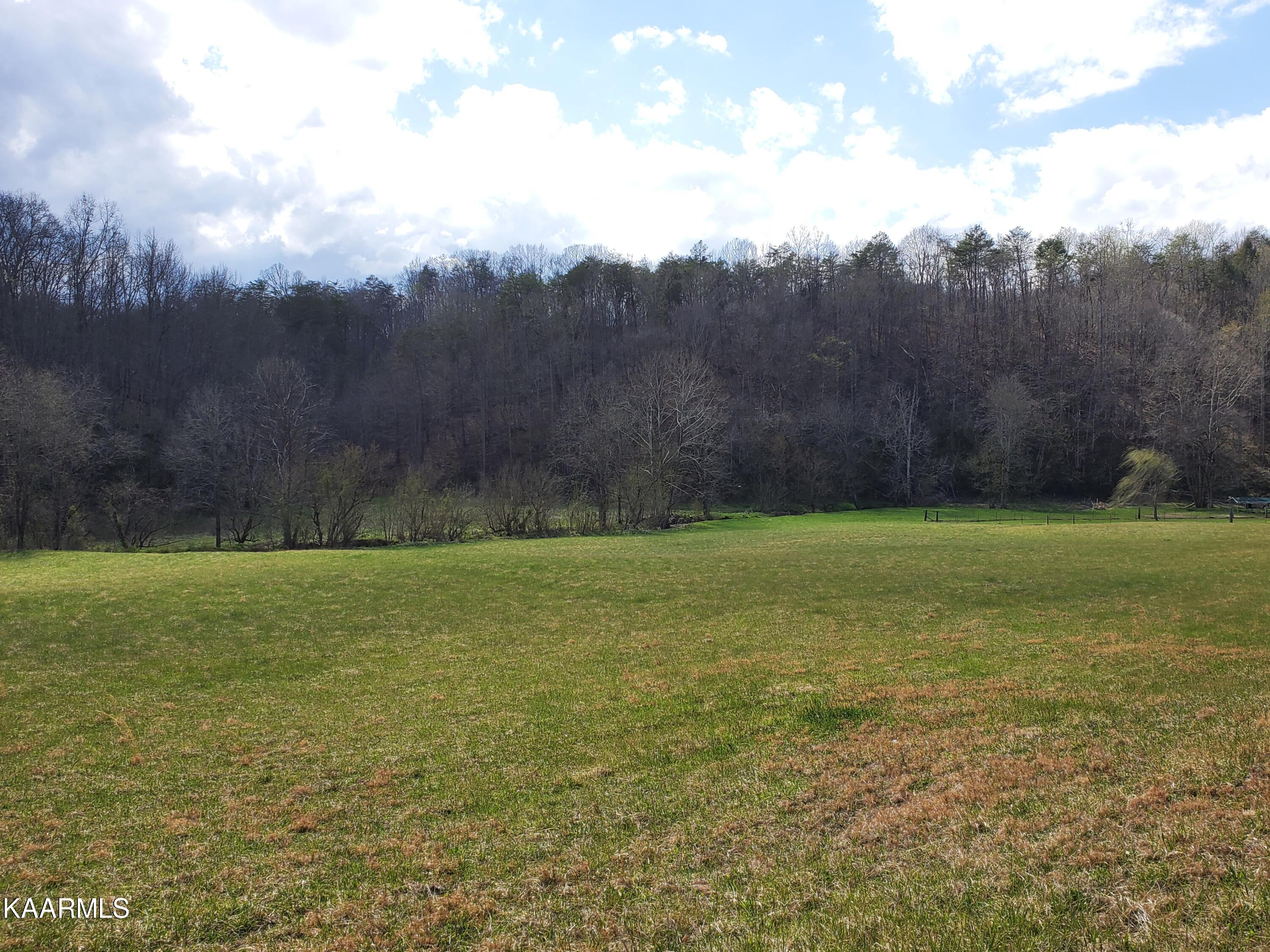 Dripping Springs Road Seymour, TN 37865 - Photo 3 of 4 20220331_154853