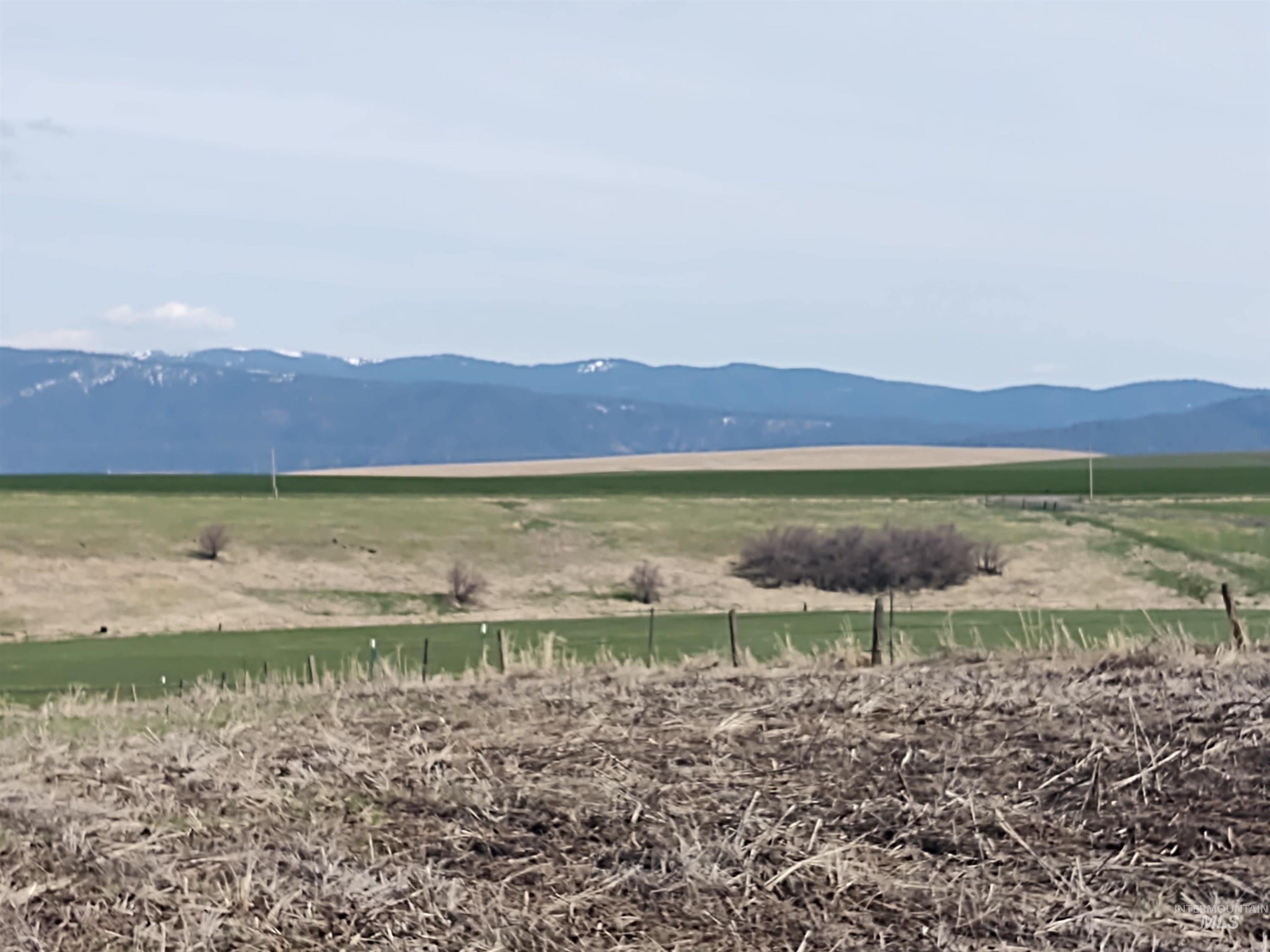 Lot 10 Angus Ranch Road Grangeville, ID 83530 - Photo 3 of 6