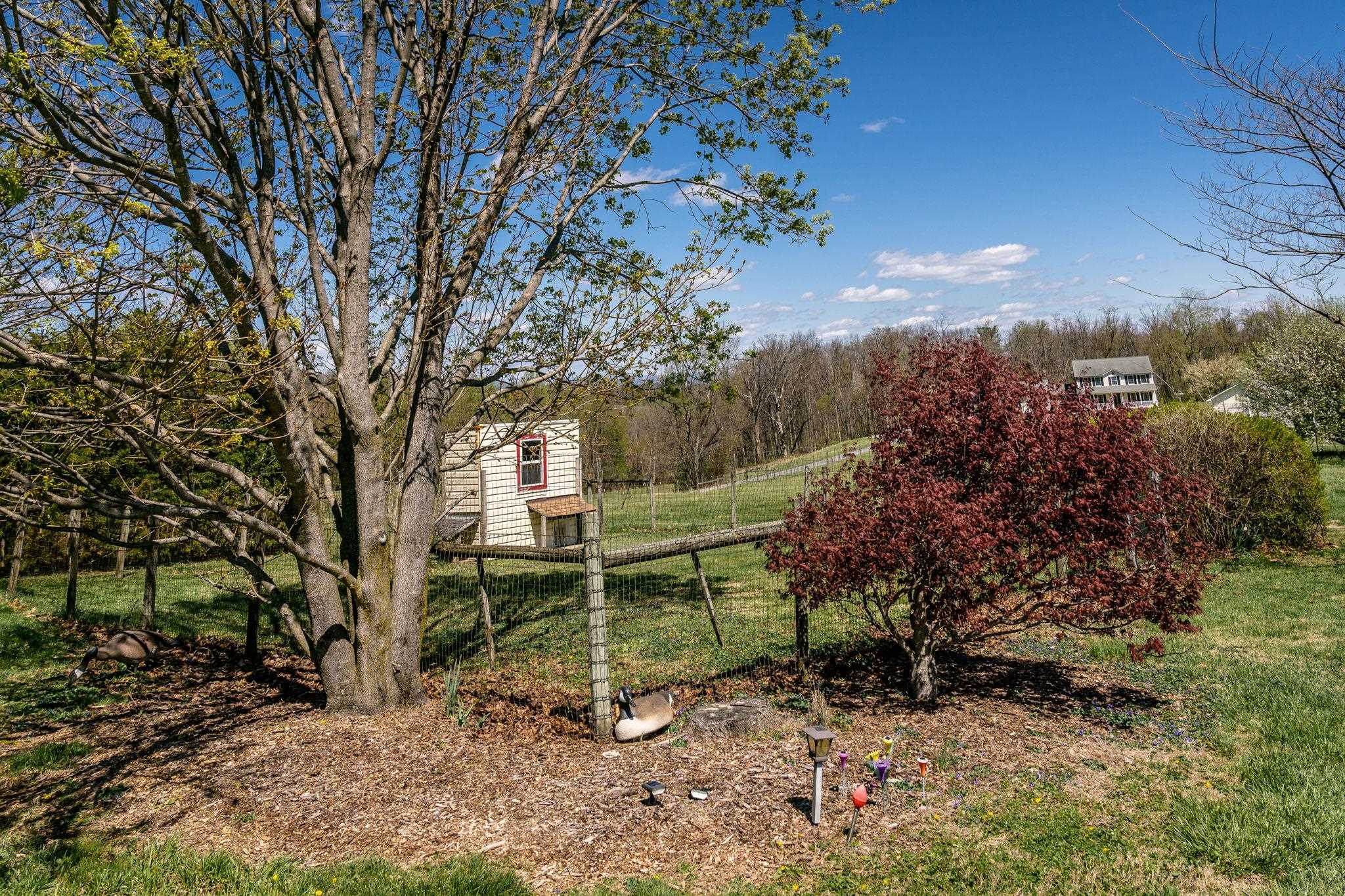 1075 Chestnut Ridge Road Staunton, VA 24401 - Photo 51 of 58