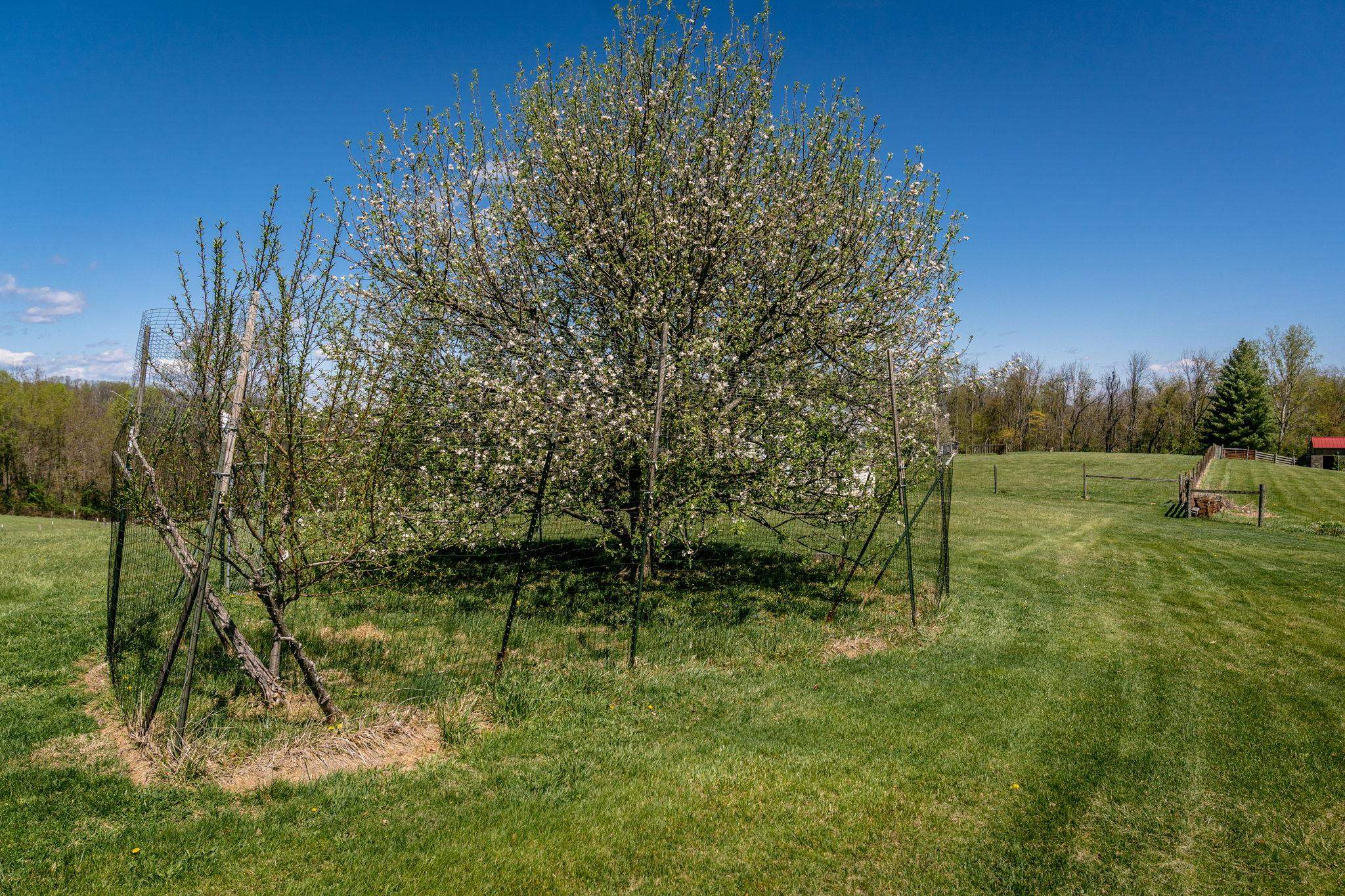 1075 Chestnut Ridge Road Staunton, VA 24401 - Photo 53 of 58