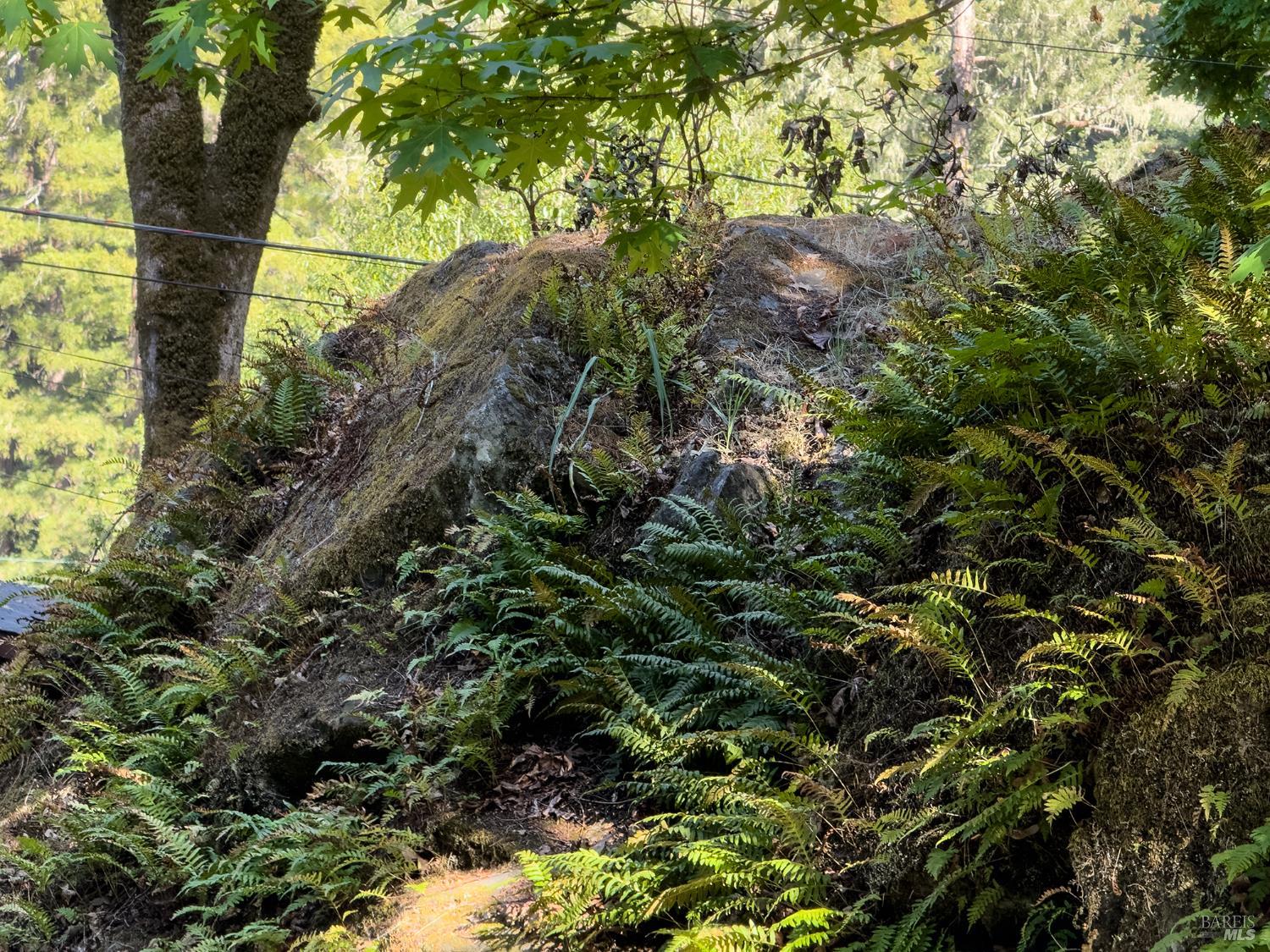 5845 Austin Creek Road Cazadero, CA 95421 - Photo 25 of 26 a view of a backyard