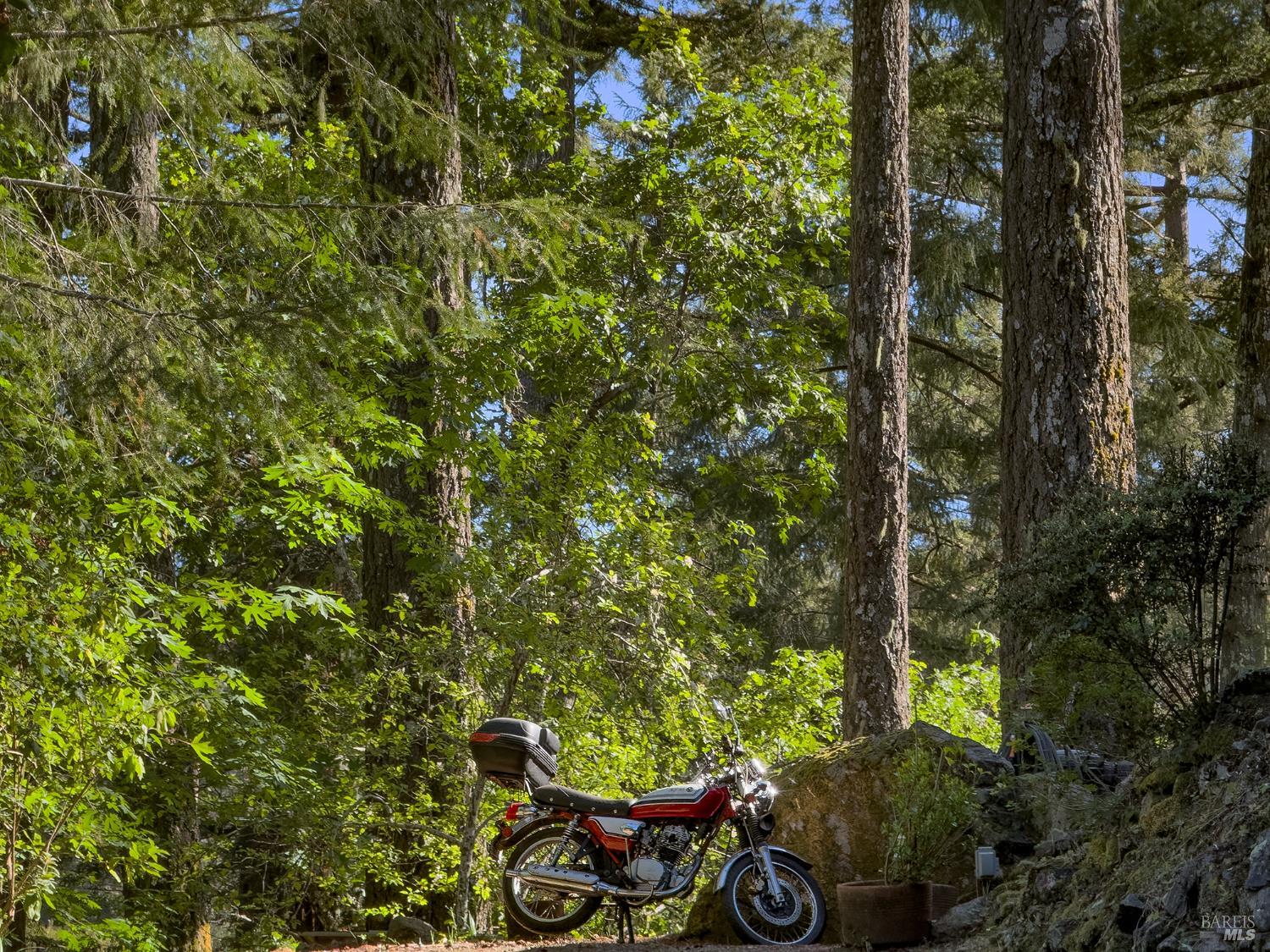 5845 Austin Creek Road Cazadero, CA 95421 - Photo 26 of 26 a view of a yard with plants