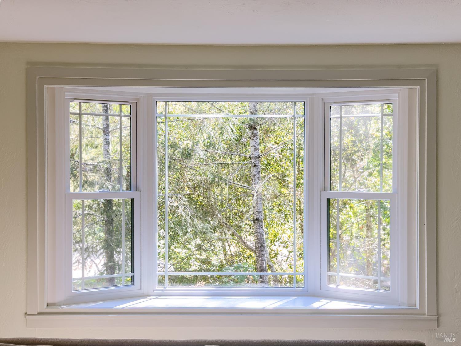 5845 Austin Creek Road Cazadero, CA 95421 - Photo 10 of 26 a view of a green space and a window