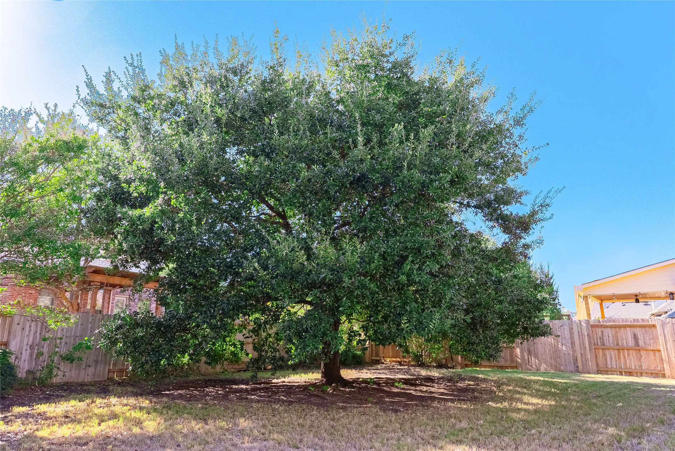 2725 Highland Trail Leander, TX 78641 - Photo 28 of 30 Perfect outdoor space for relaxing or entertaining.Enjoy this amazing large oak tree!