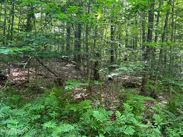 $159,500 | 190 Fox Road, Dalton, MA 01226