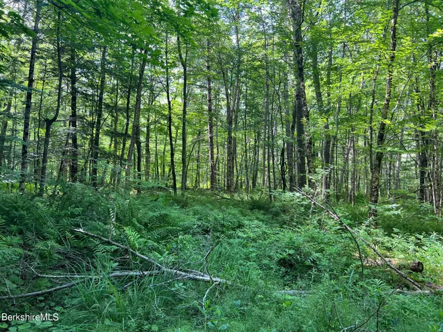 $159,500 | 190 Fox Road, Dalton, MA 01226