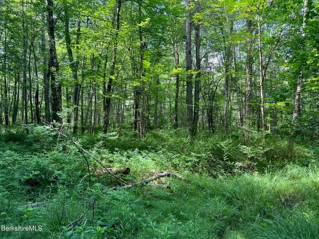 $159,500 | 190 Fox Road, Dalton, MA 01226