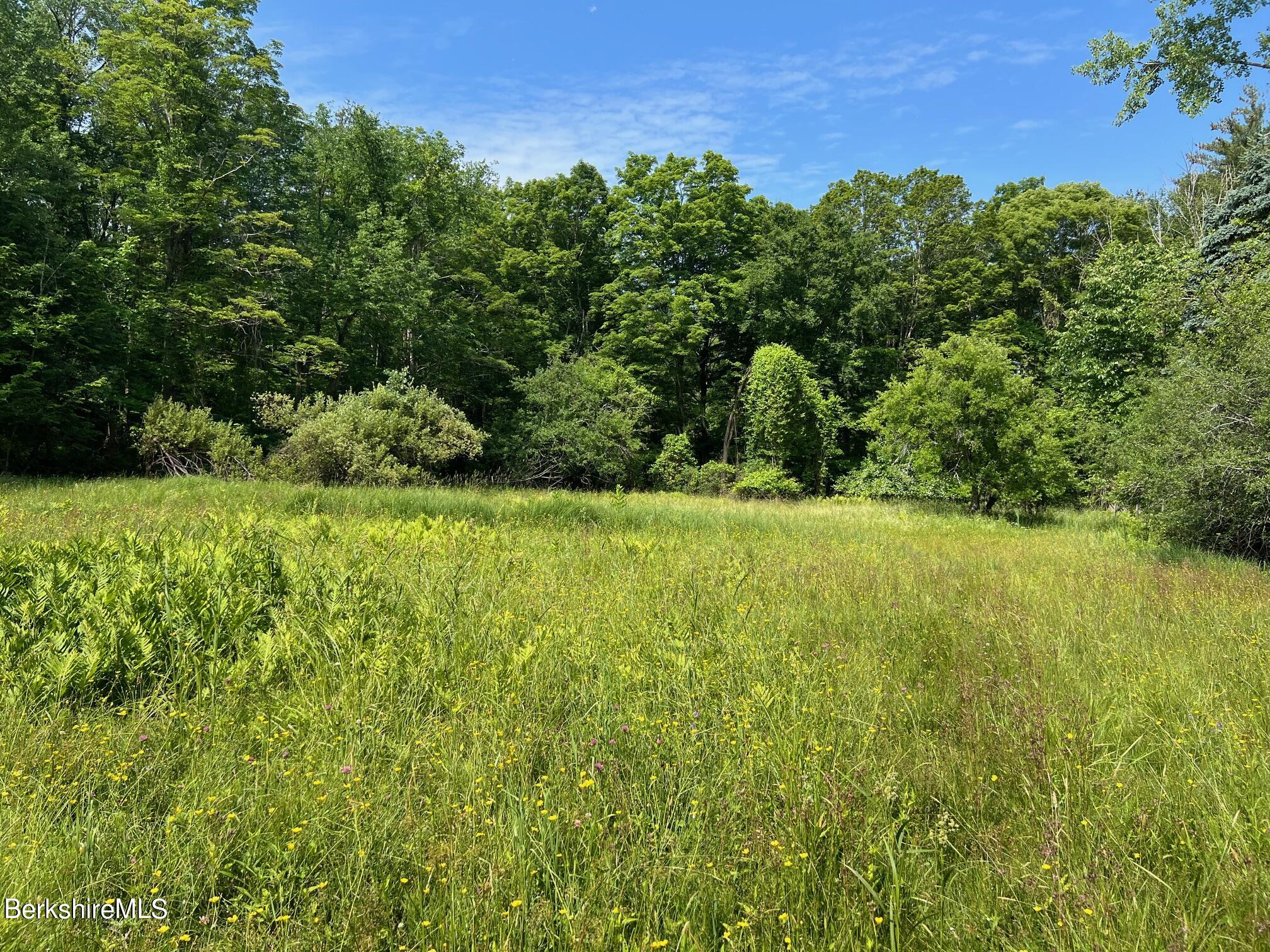 190 Fox Road Dalton, MA 01226 - Photo 14 of 14 Cleared Home Site