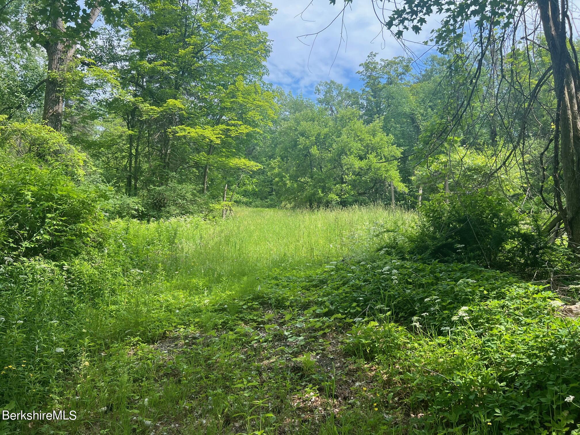 190 Fox Road Dalton, MA 01226 - Photo 3 of 14 Entrance to Property