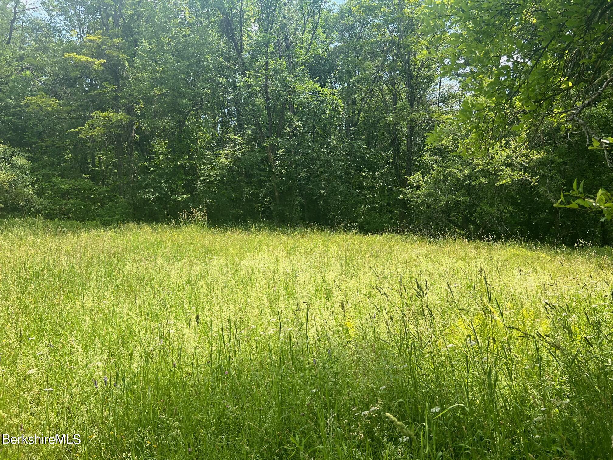 190 Fox Road Dalton, MA 01226 - Photo 4 of 14 Cleared Former Home Site