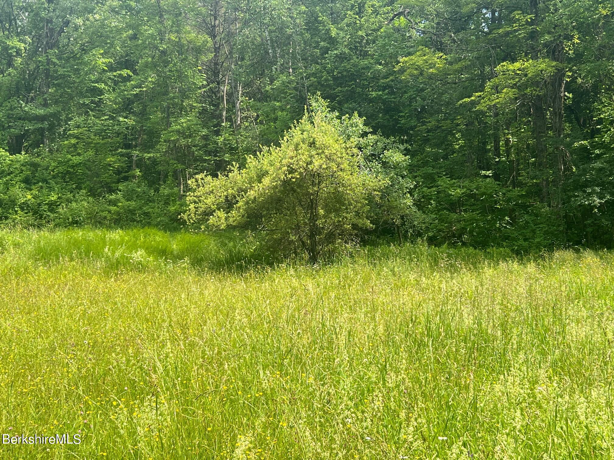 190 Fox Road Dalton, MA 01226 - Photo 5 of 14 Apple Tree