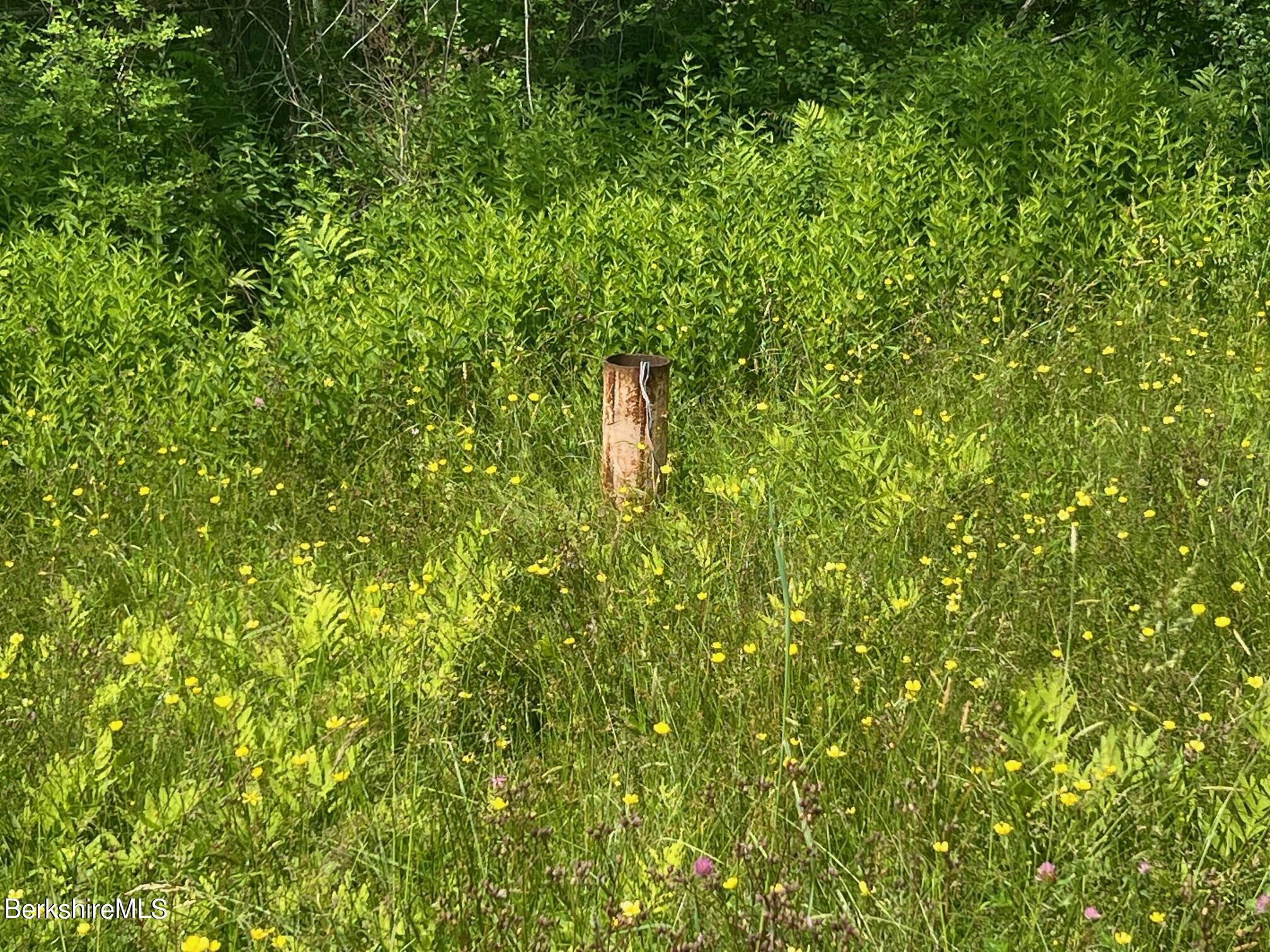 190 Fox Road Dalton, MA 01226 - Photo 6 of 14 Abandoned Well
