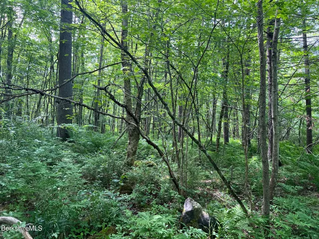 $159,500 | 190 Fox Road, Dalton, MA 01226