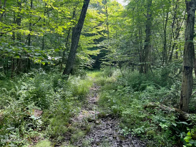 $159,500 | 190 Fox Road, Dalton, MA 01226