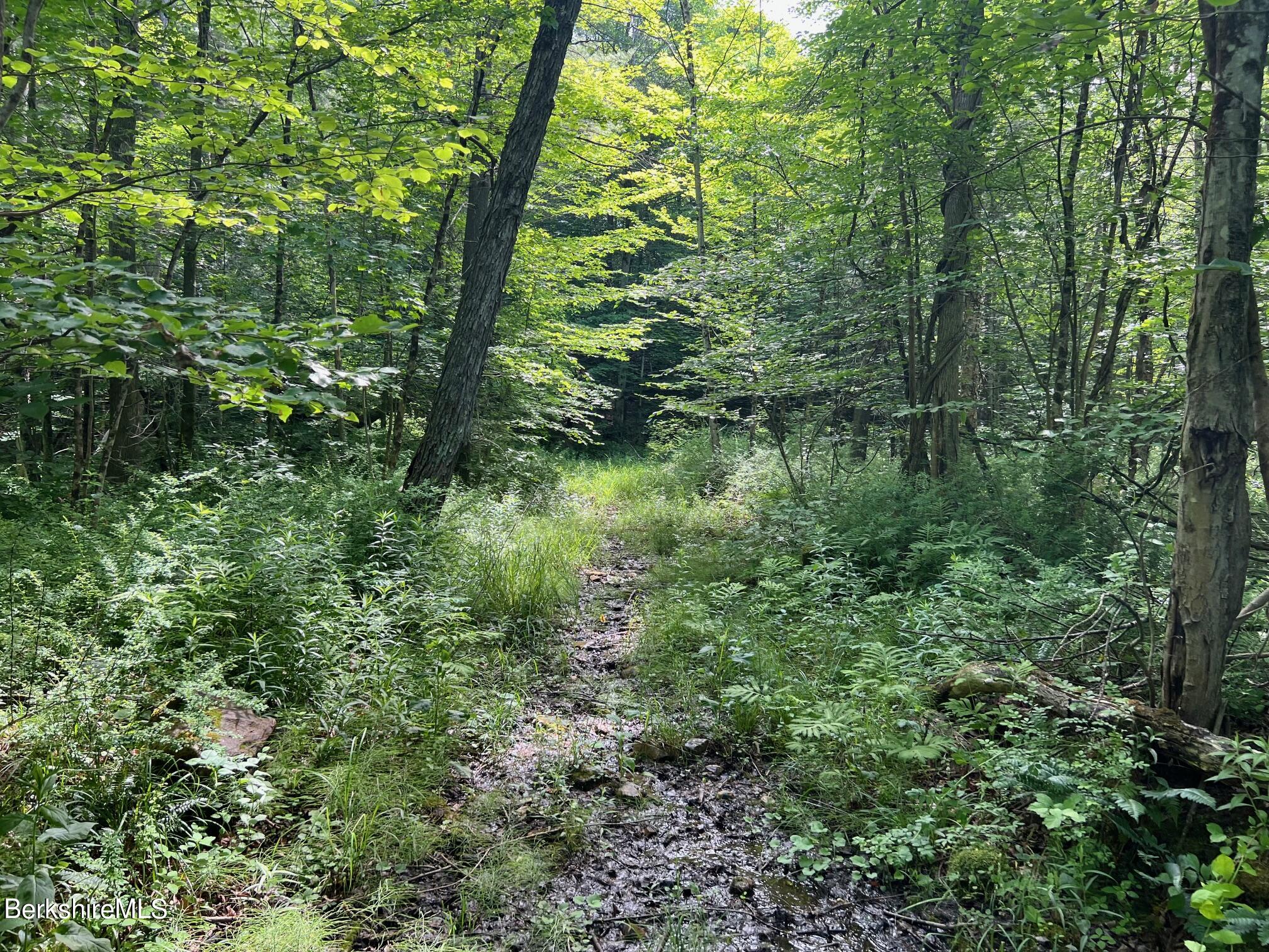 190 Fox Road Dalton, MA 01226 - Photo 9 of 14 Pathway to Wooded Area