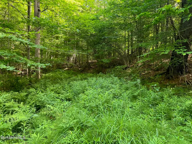 $159,500 | 190 Fox Road, Dalton, MA 01226